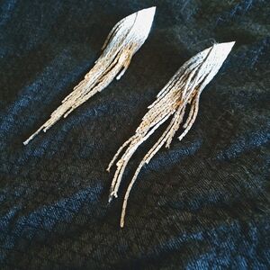 Elegant Silver Dangle Earrings